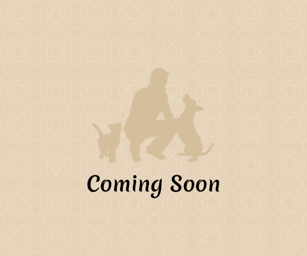 Coming-Soon Coming-Soon